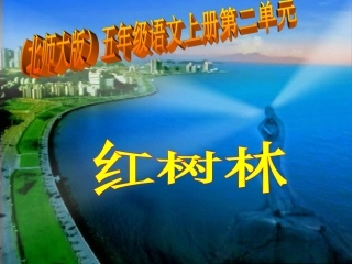 北师大版五年级语文上册《红树林》