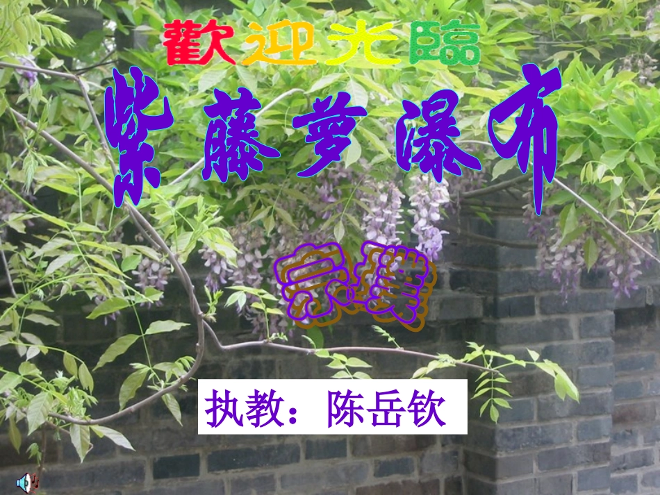 紫藤罗瀑布1_第1页