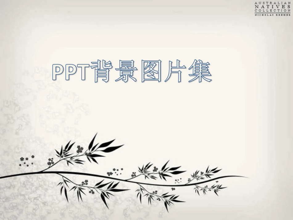 淡雅PPT背景图片集_第1页