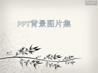 淡雅PPT背景图片集
