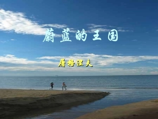 蔚蓝的国王修改