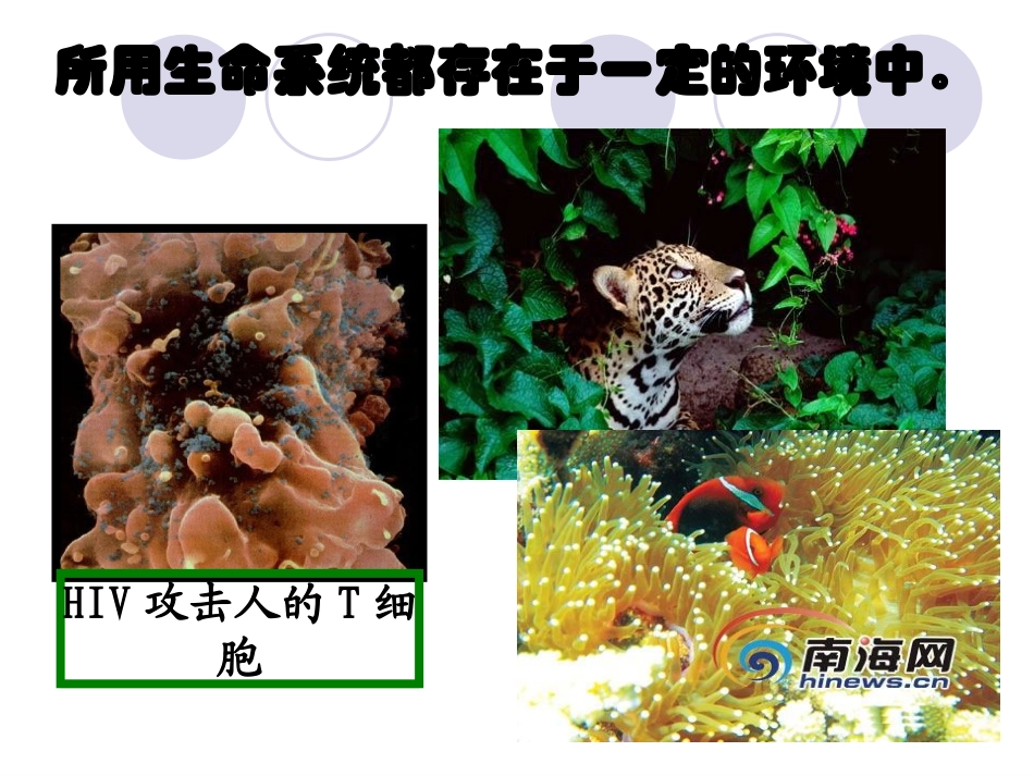 细胞生活的环境PPT_第2页