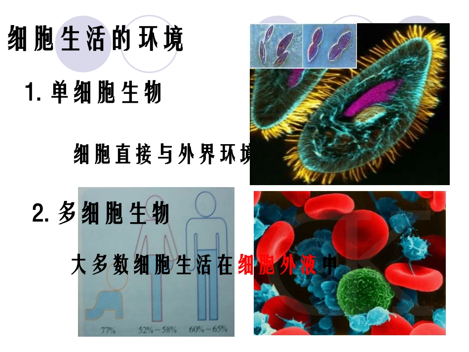 细胞生活的环境PPT_第3页