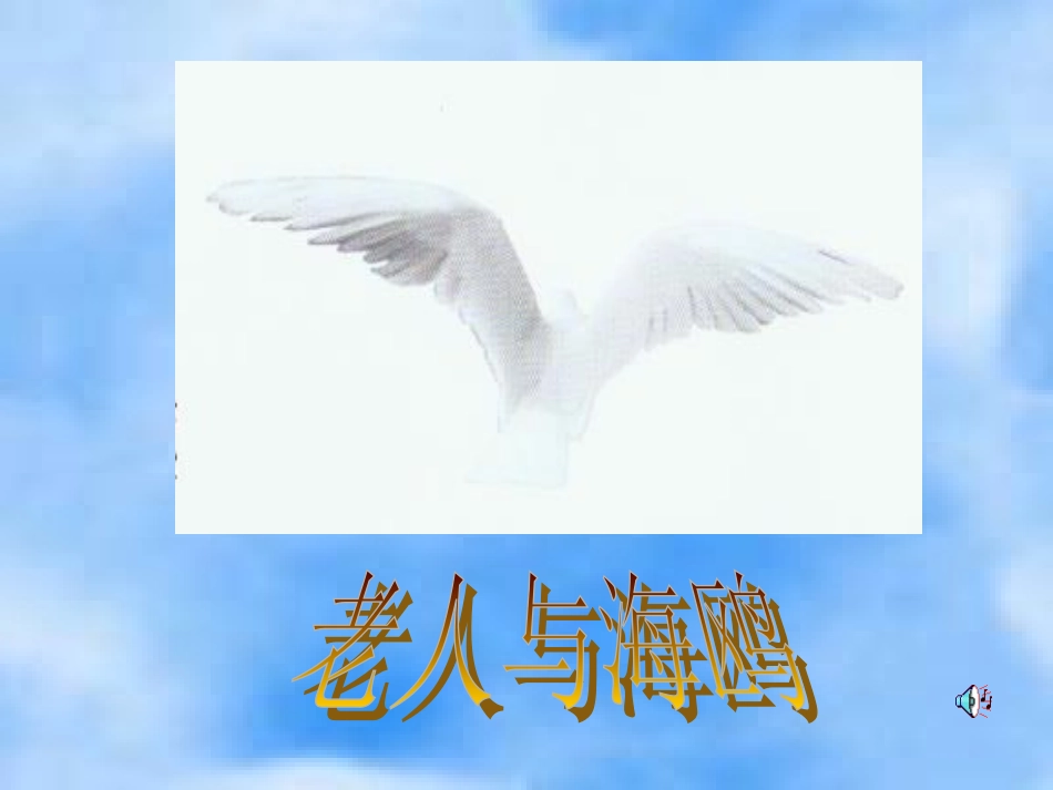 老人与海鸥2_第1页