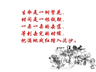 《爸爸的花儿落了》教学课件（20张）