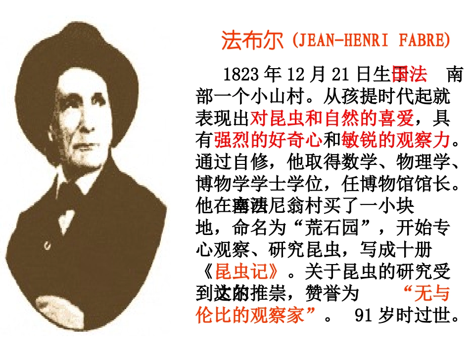 《绿色蝈蝈》公开课_第2页