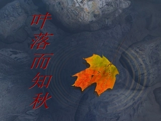 七上14秋天公开课