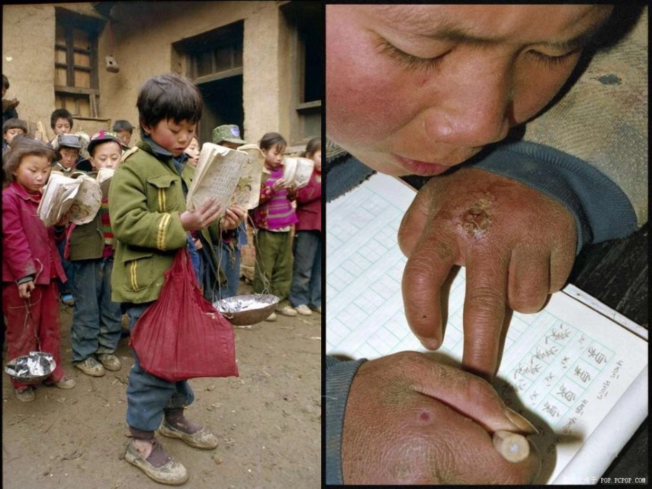 珍惜学习机会公开课课件_第2页