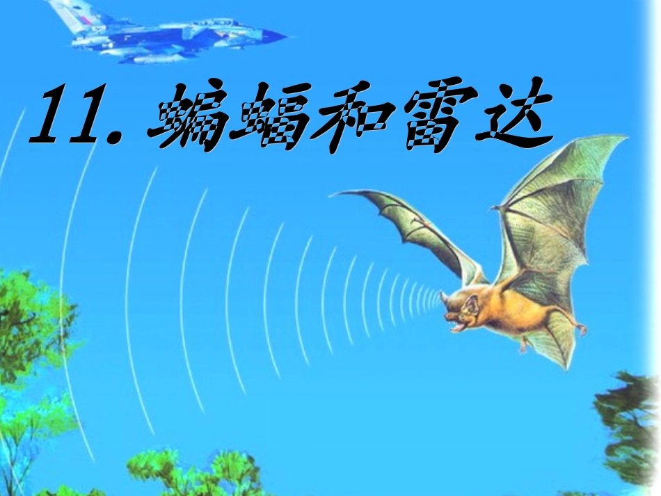 蝙蝠和雷达第二课时_第1页