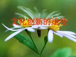 高二政治文化创新的途径6