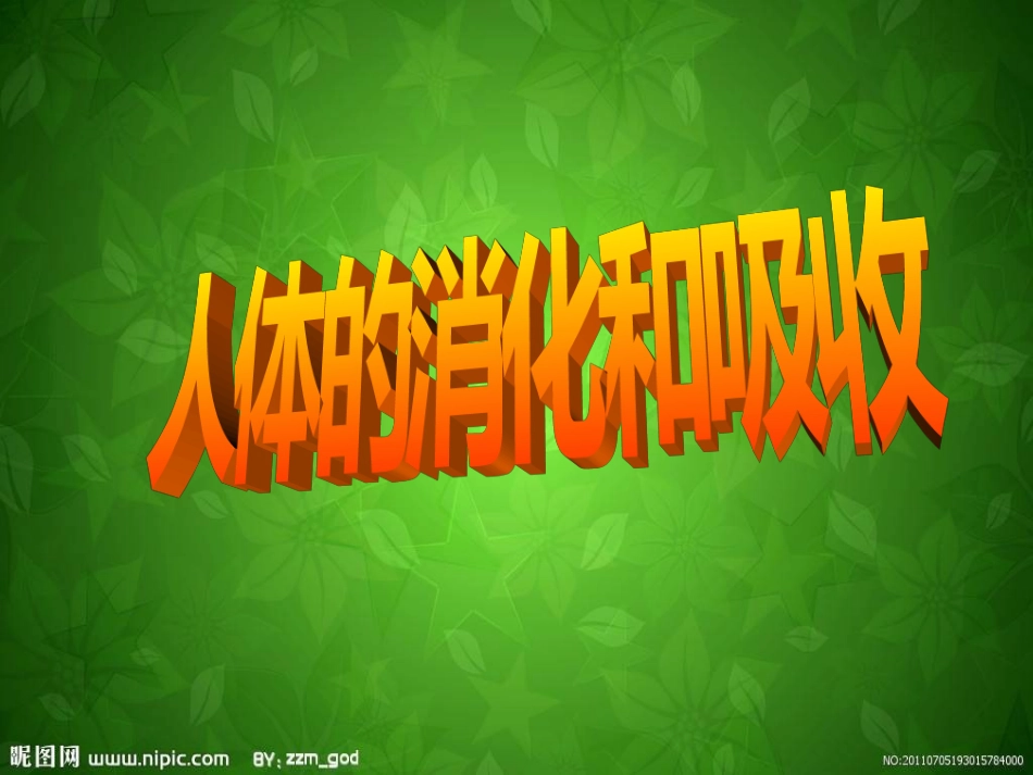 人体的消化与吸收_第1页