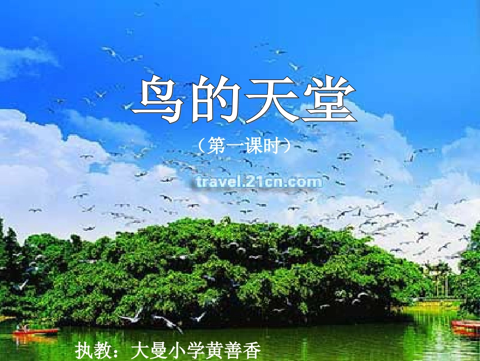 鸟的天堂课件2_第1页
