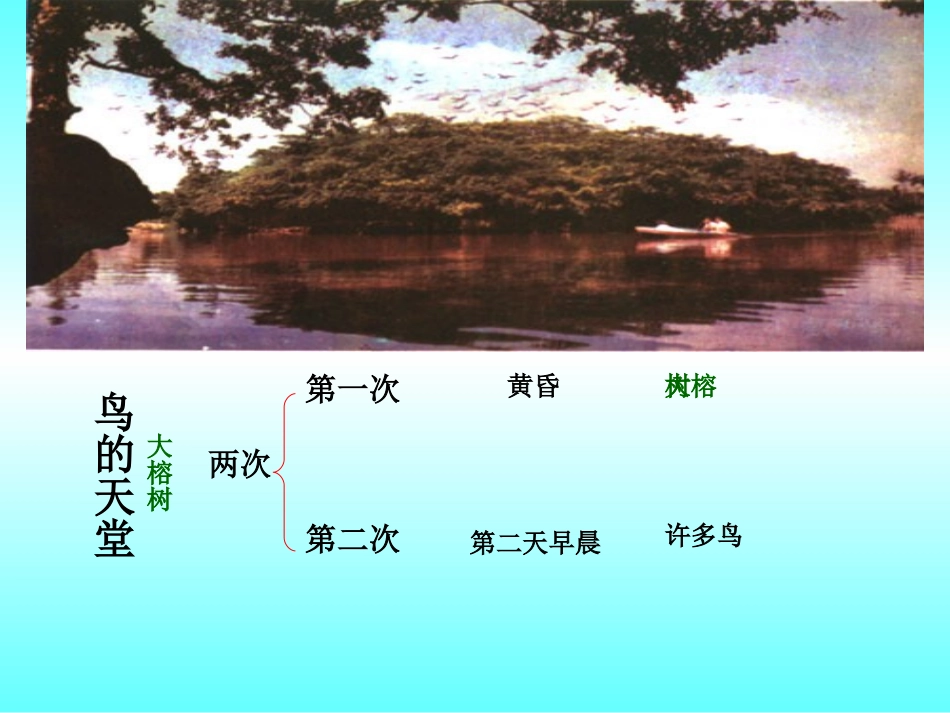 鸟的天堂课件2_第2页