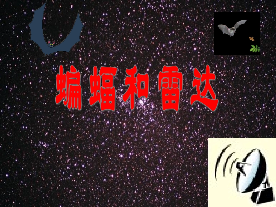 《蝙蝠和雷达》教学课件_第1页