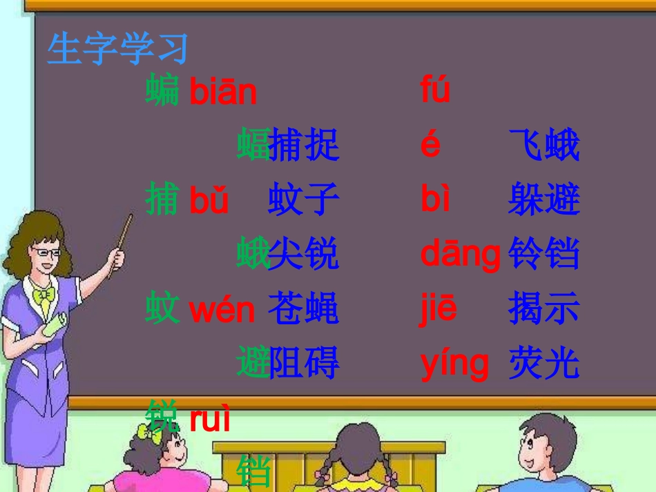 《蝙蝠和雷达》教学课件_第2页