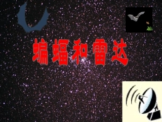 《蝙蝠和雷达》教学课件
