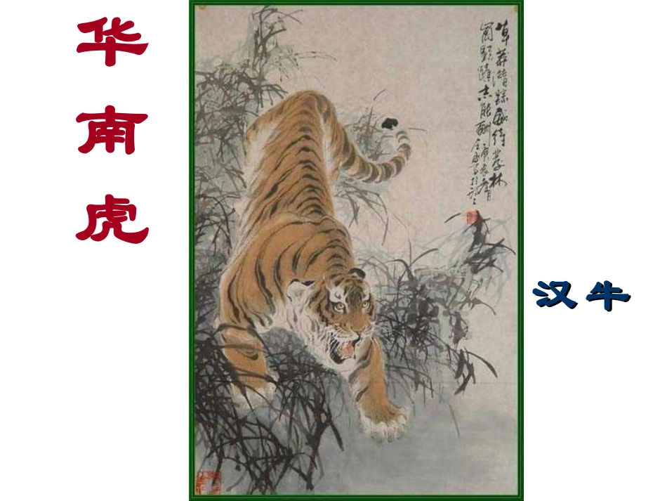 华南虎2012_第2页