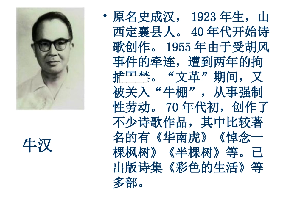 华南虎2012_第3页