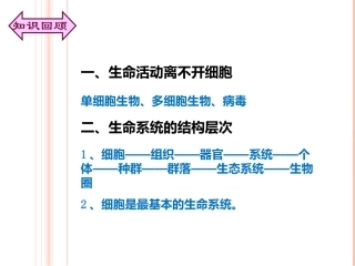 人教版必修1第1章第2节细胞的的多样性和统一性（共24张PPT）