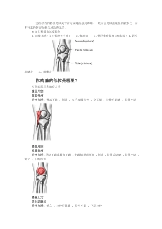 膝盖损伤与恢复(图文)