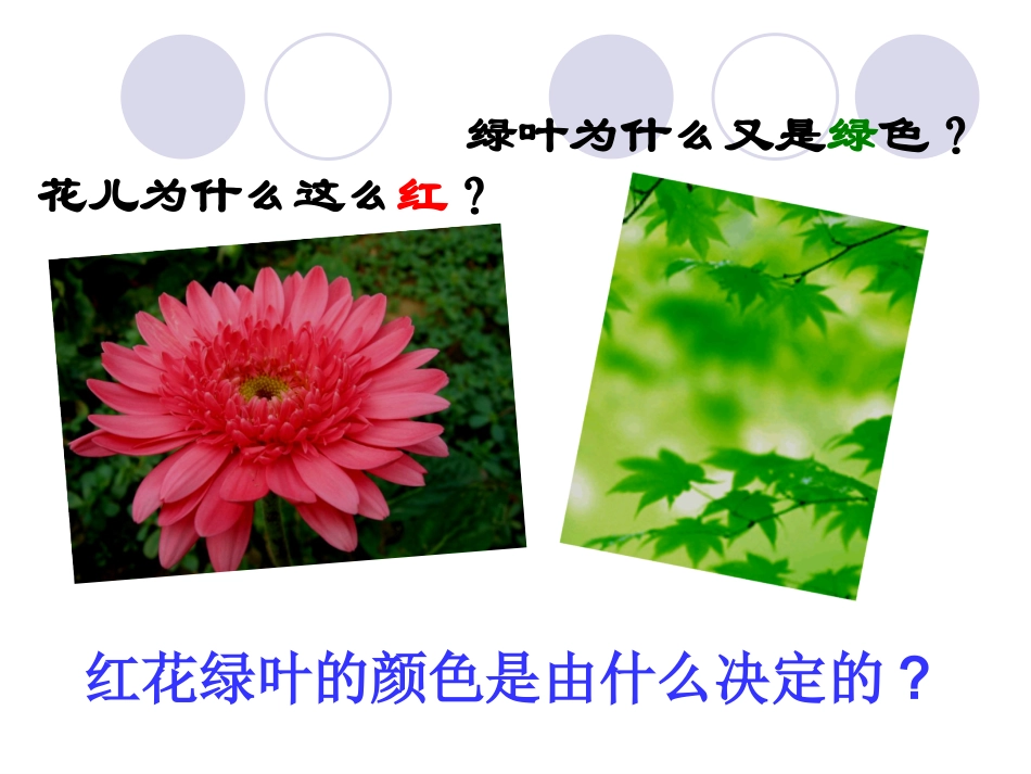 光的色散新人教版_第3页