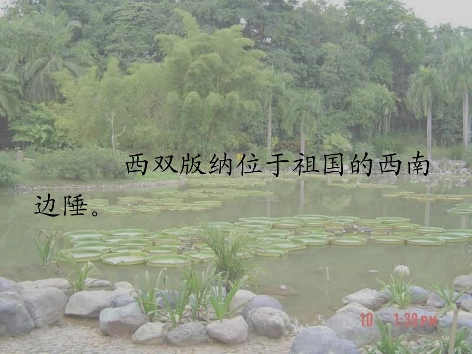 美丽的西双版纳 (2)_第2页