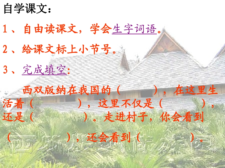 美丽的西双版纳 (2)_第3页