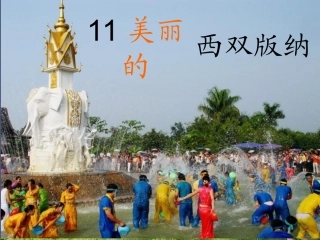 美丽的西双版纳 (2)