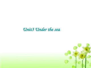 高中英语：Unit_3_Under_the_sea课件新人教版选修7