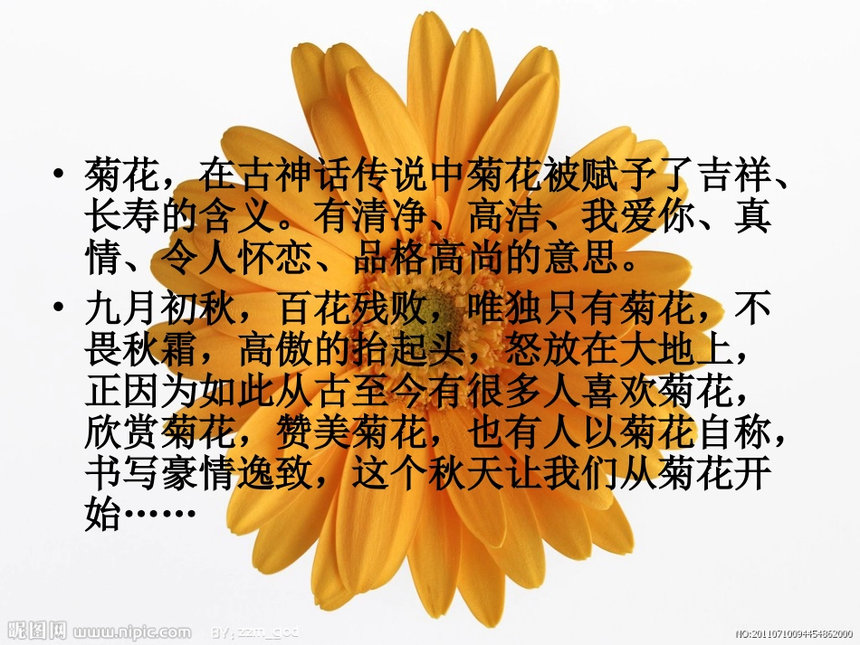 菊花课程课件1_第3页