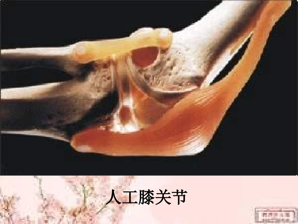 化学美丽微电影_第3页