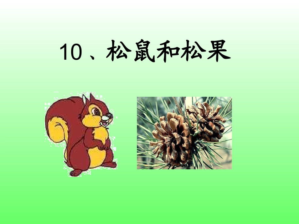 松鼠和松果上课用_第2页