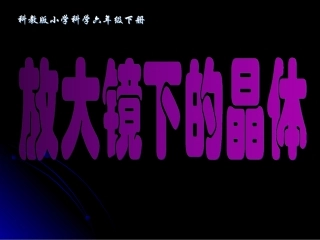 六下一3放大镜下的晶体