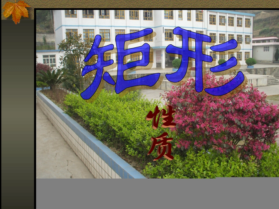 矩形的定义、性质_第2页