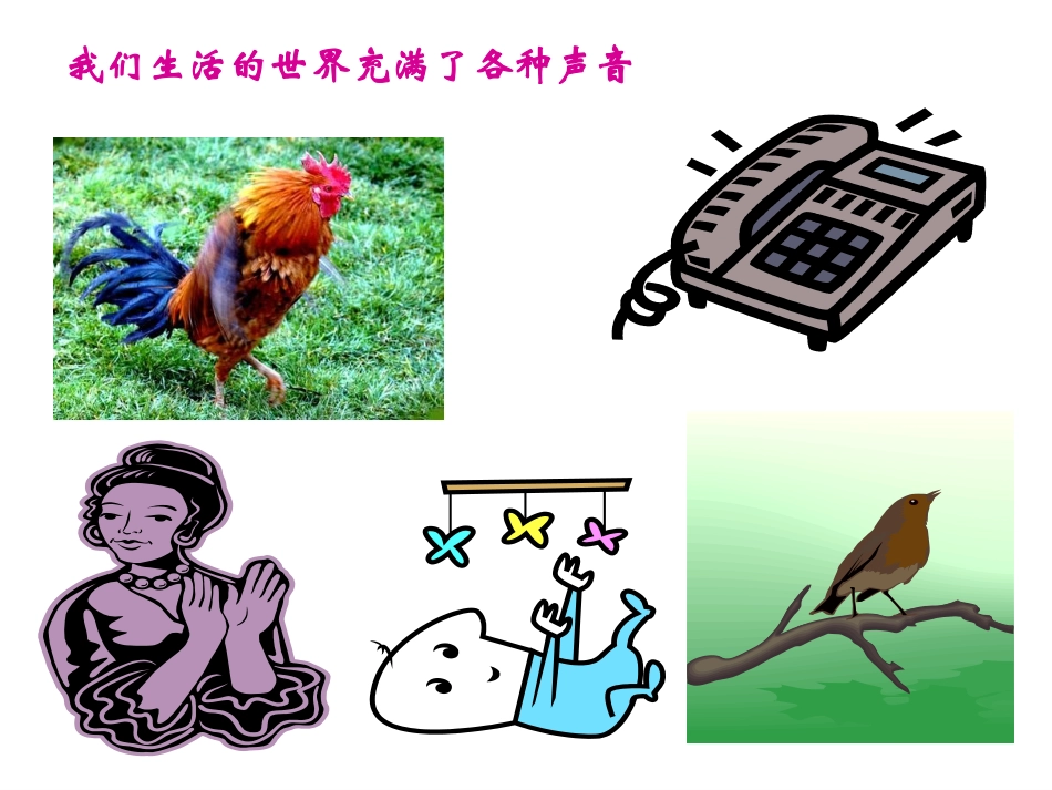 超声与次声课件_第1页