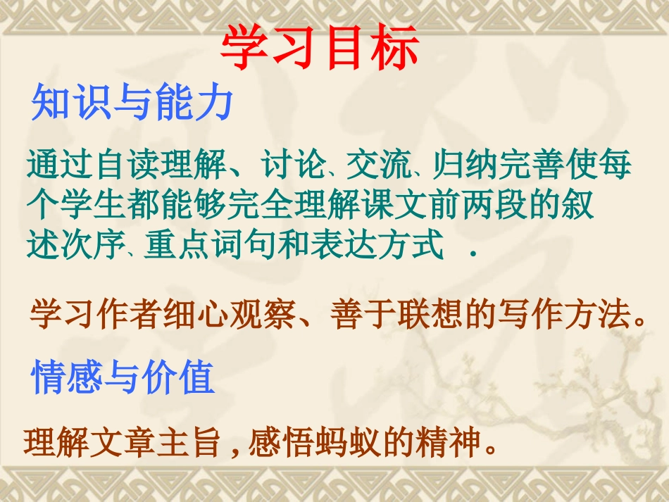 《蚂蚁》课件_第3页