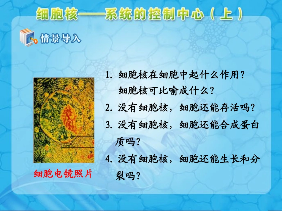 人教版高中生物必修1第3章　细胞的基本结构第3节《细胞核——系统的控制中心》第一课时参考课件（共13张PPT）_第2页