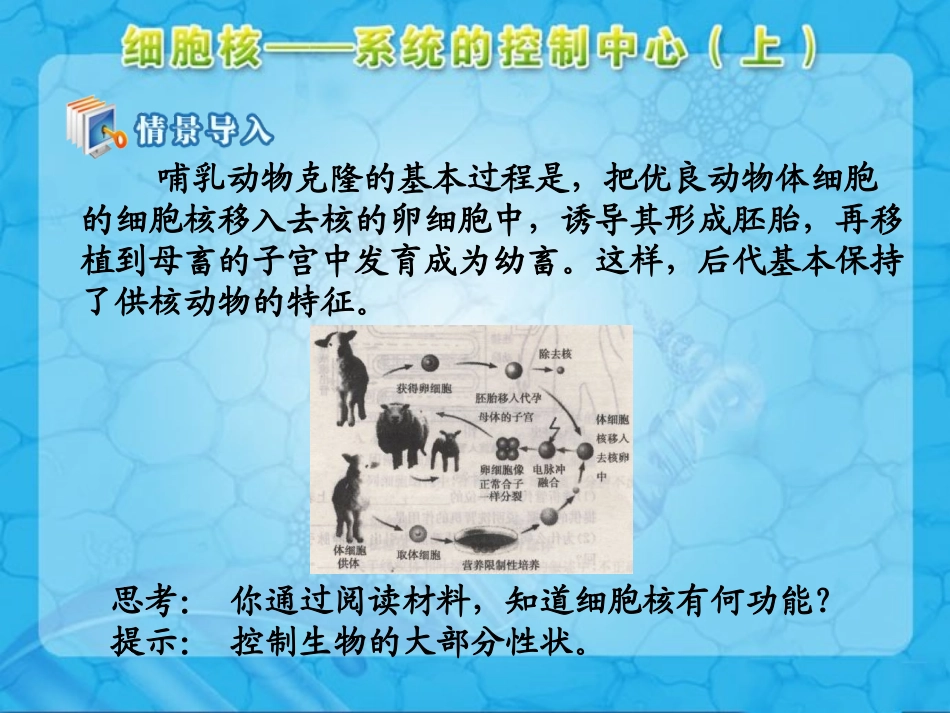 人教版高中生物必修1第3章　细胞的基本结构第3节《细胞核——系统的控制中心》第一课时参考课件（共13张PPT）_第3页