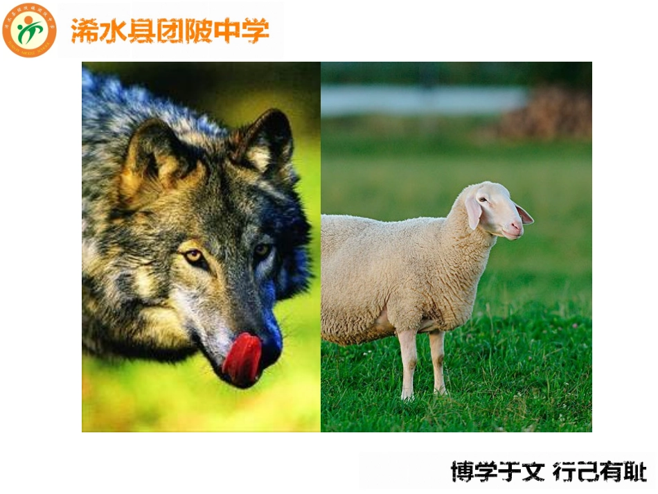 月日修改版竞争合作_第2页