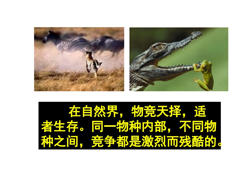 月日修改版竞争合作_第3页