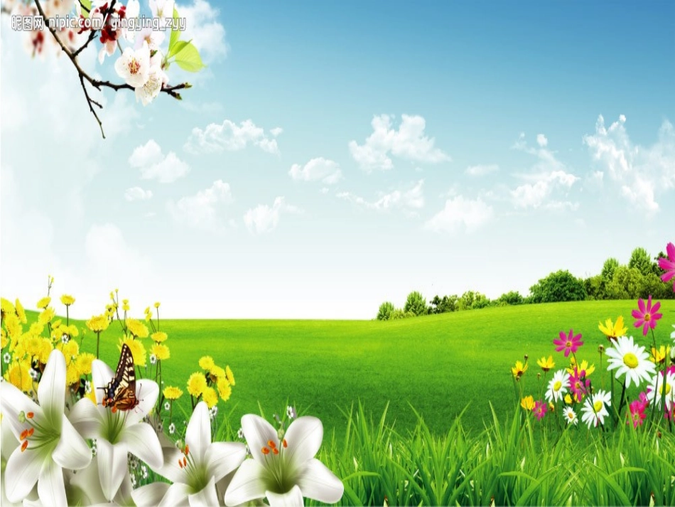 预备班幼儿教育上册课件_第2页