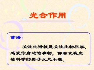 光合作用复习