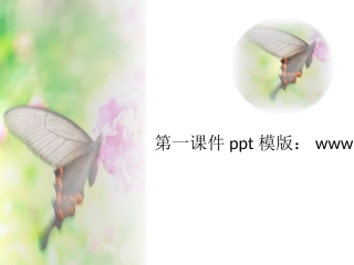 精美课件模板下载