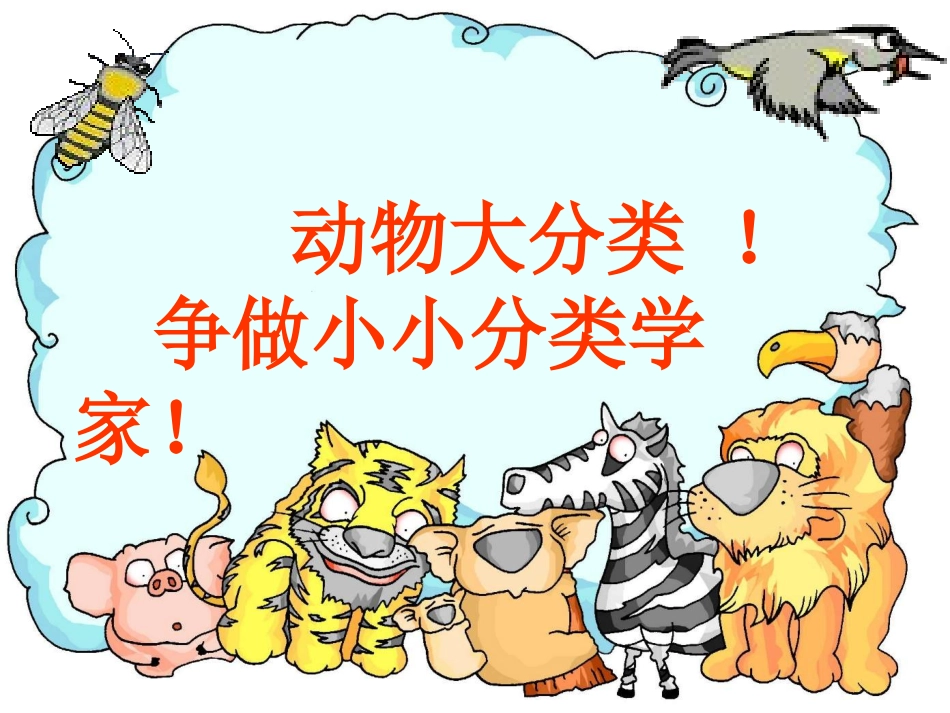 根据生物的特征进行分类_第3页