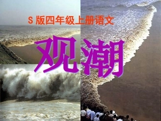 小学语文S版四年级上册《观潮》课件