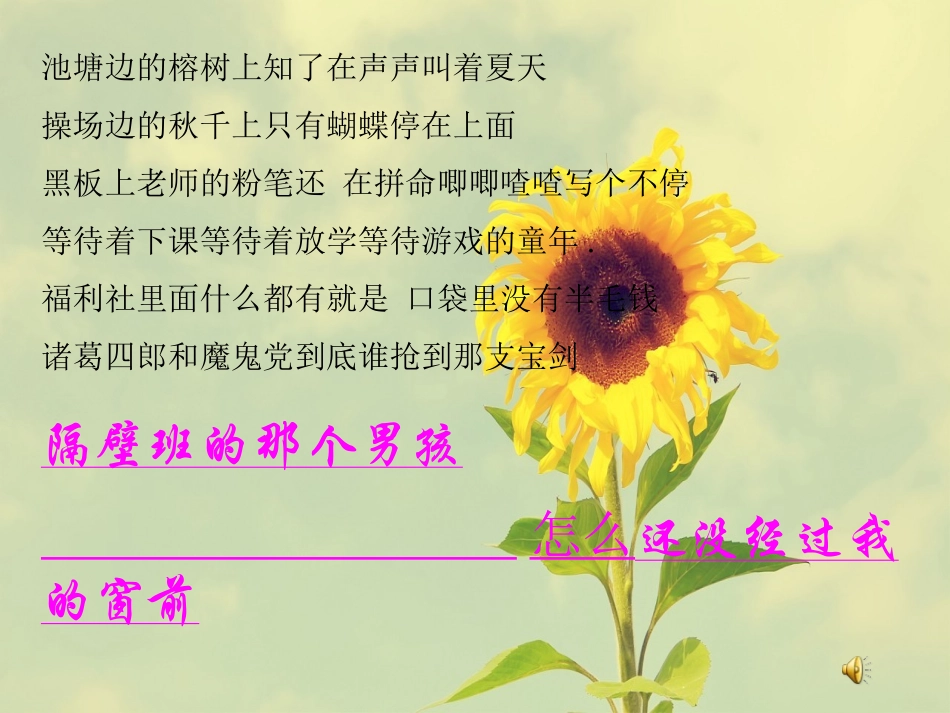 花开应有时班会_第2页