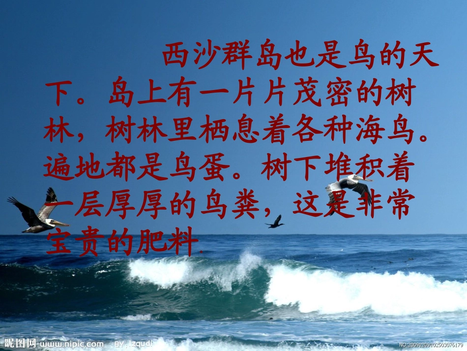 富饶的西沙群岛5_第3页