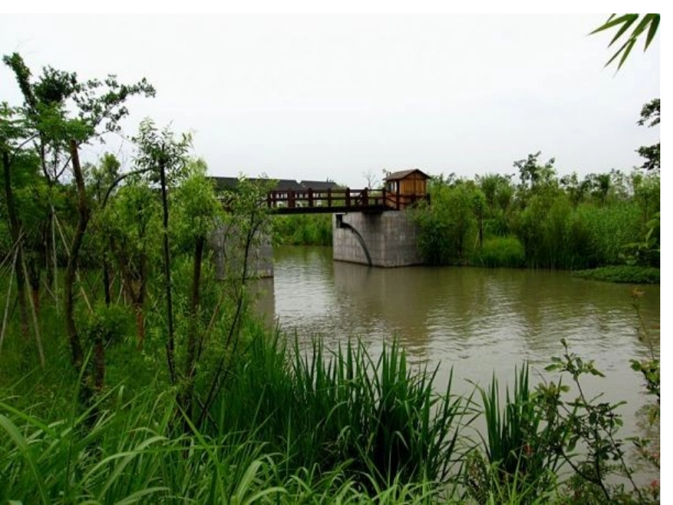 小学一年级上册语文第三课小小竹排画中游PPT课件2_第3页