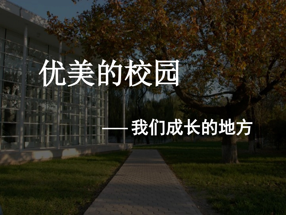 活动一　优美的校园体验与选择课件_第2页