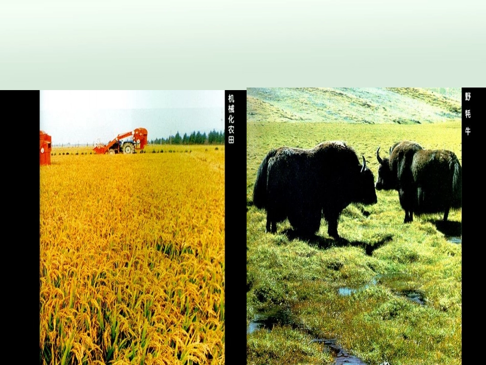 农业区位的选择_第2页